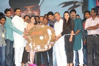 Prabhanjanam Audio Launch